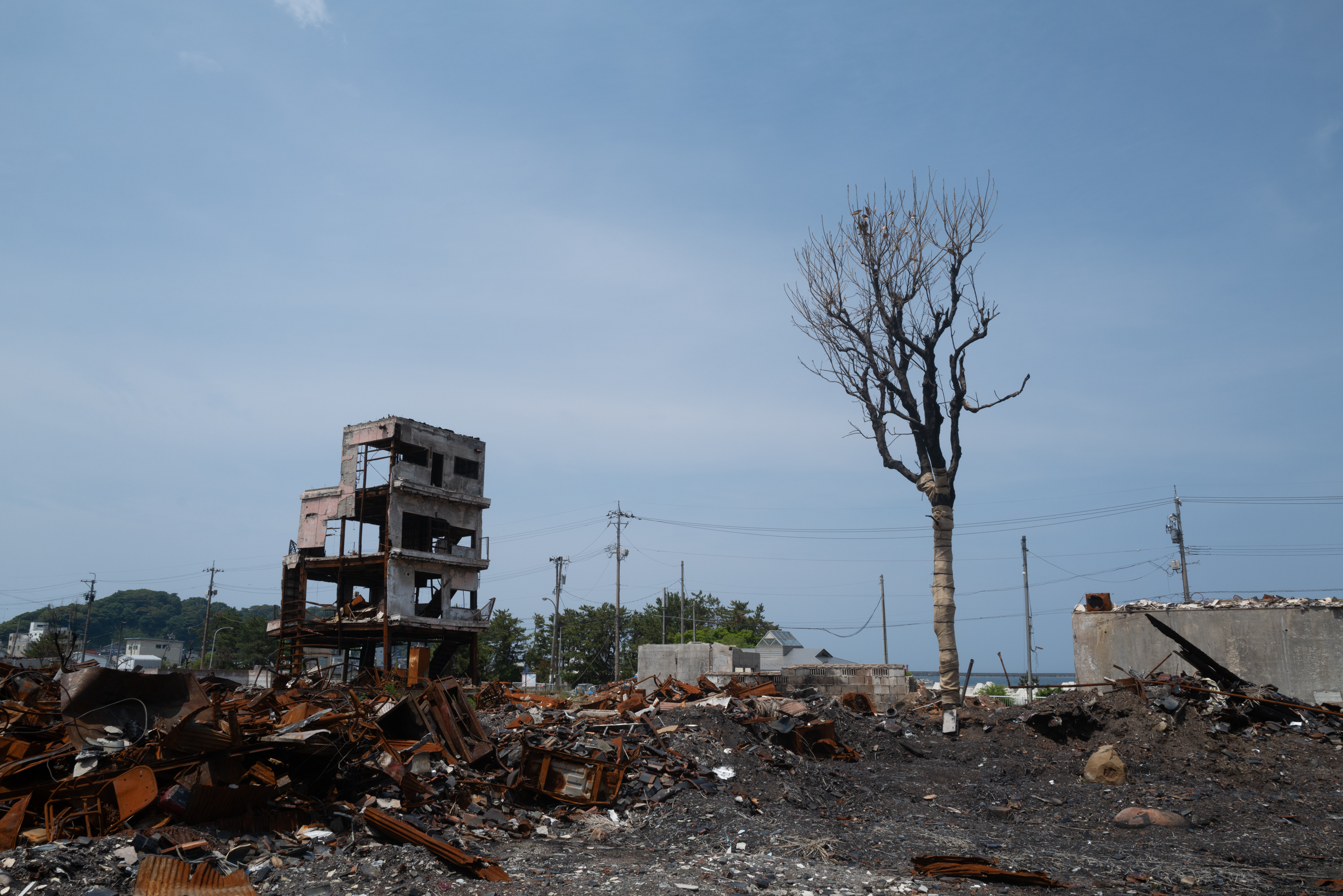 動画とアーカイブ